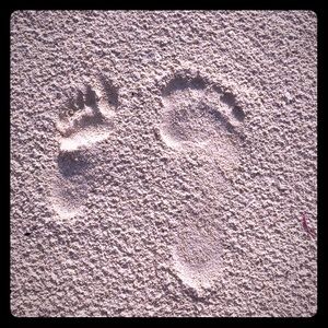 Meet your Posher, CocoT.